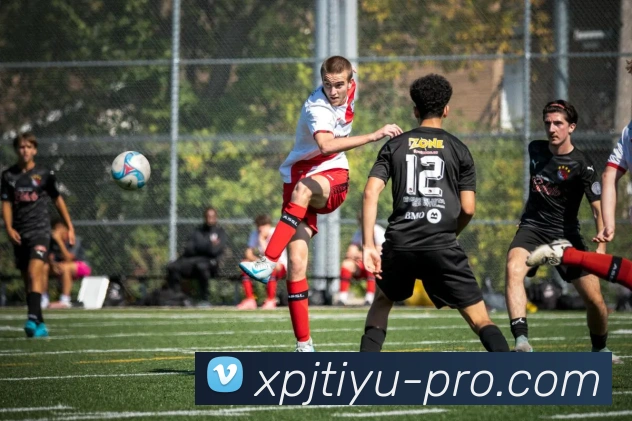 新葡京平台生态图